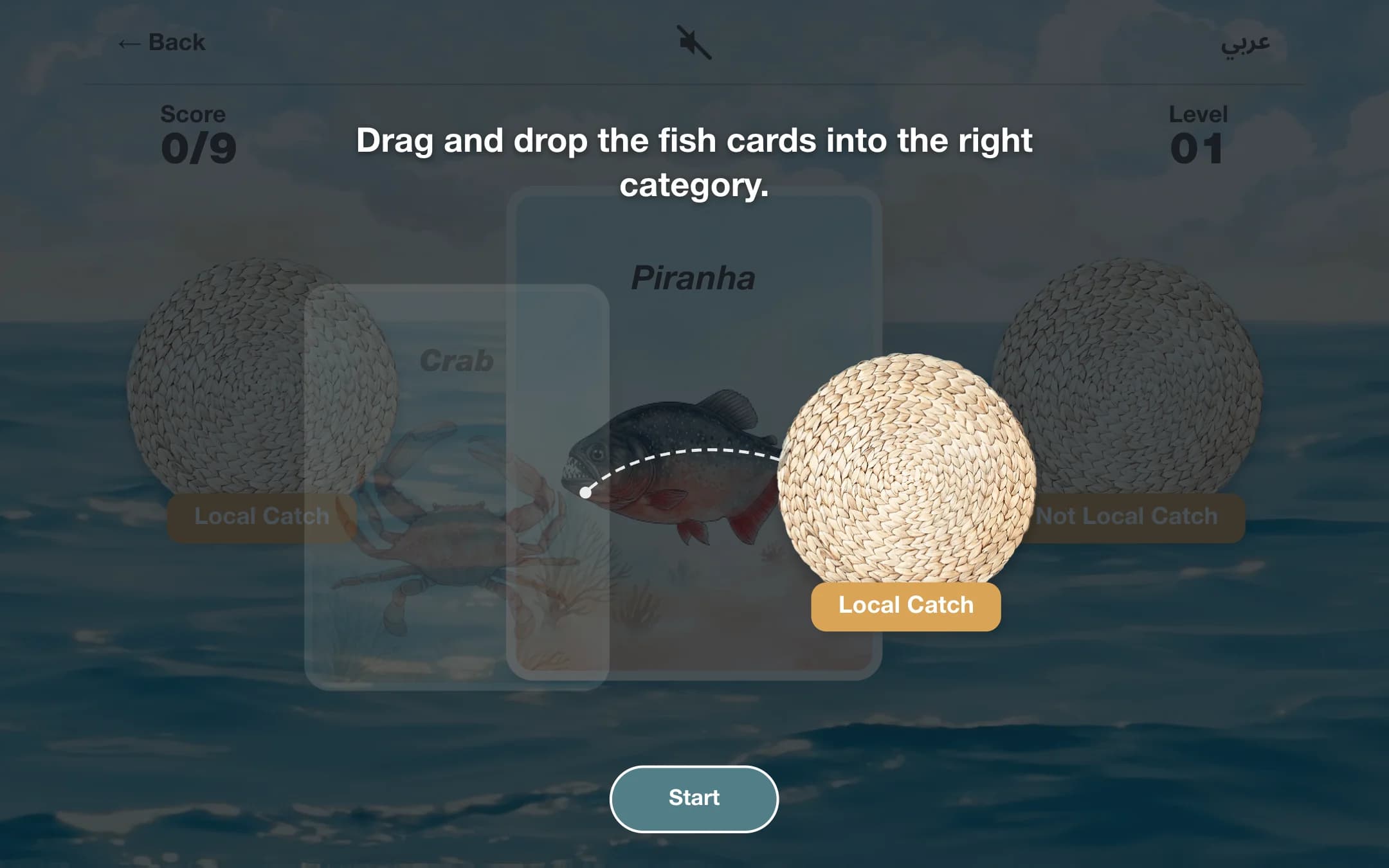 The onboarding overlay: Drag and drop the fish cards into the right category, with a dotted arc from a card to the Local Catch basket and a Start button