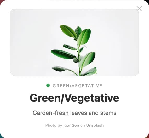 Flavour card: Green/Vegetative. Garden-fresh leaves and stems