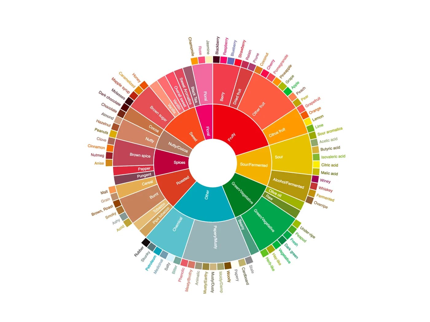 A flat coffee taster’s flavour wheel: families such as Fruity, Floral, Sweet and Roasted at the centre, subfamilies around them, and single flavours such as Raspberry, Jasmine and Hazelnut on the outer edge