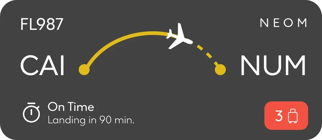 A flight-status concept for FL987 from CAI to NUM: a plane on a yellow arc, On Time, landing in 90 minutes, and a baggage icon beside the number 3