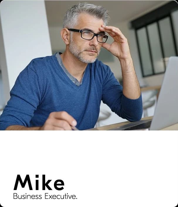 Persona card: Mike, business executive, photographed at his laptop